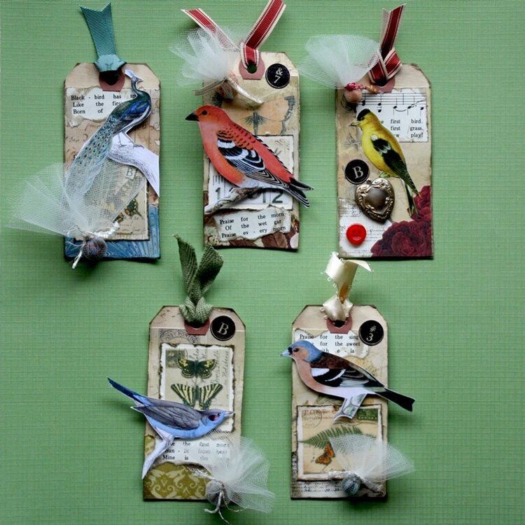 Birds and Butterflies Tags