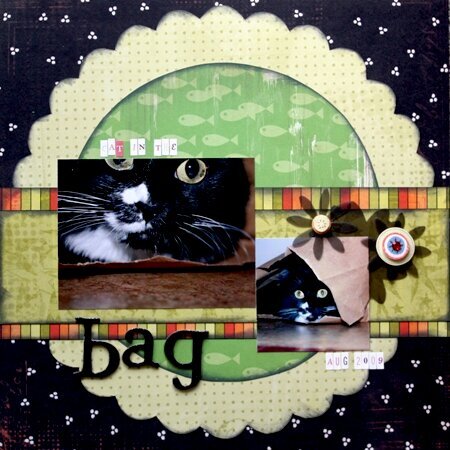 (Cat in the) Bag