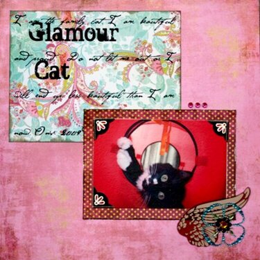 Glamour Cat
