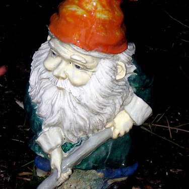Gnome Sweet Gnome *JAN Photo A Day*