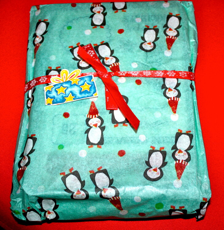 Wrapped Gift from Big Sis