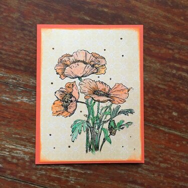 July Angel Card Poppies