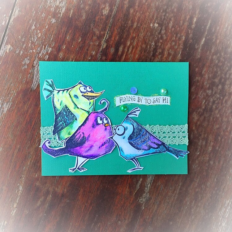 Crazy Bird Card