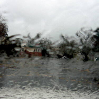 Rain On My Window *JAN PHOTO A DAY*