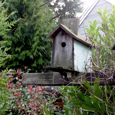 Single Bird House *JAN PHOTO A DAY*