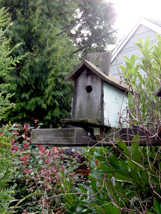 Single Bird House *JAN PHOTO A DAY*