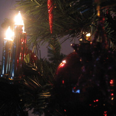 My Christmastree 2007 - close up