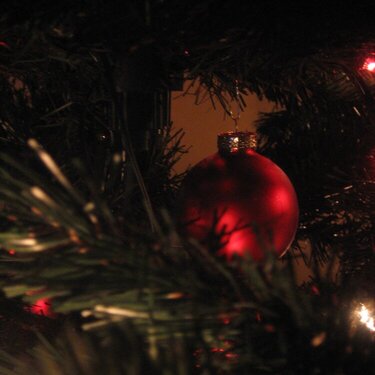 My christmastree - close up