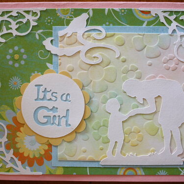 It&#039;s a Girl Baby Shower Card