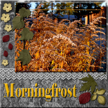 Morningfrost