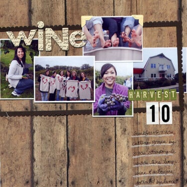 Wine Harvest 2010
