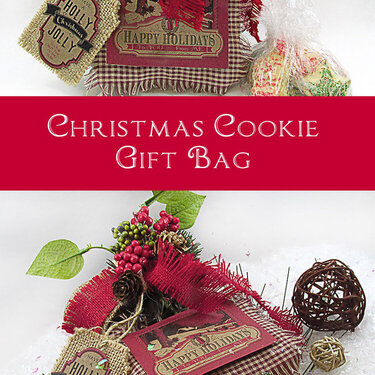 Christmas Cookie Gift Bag