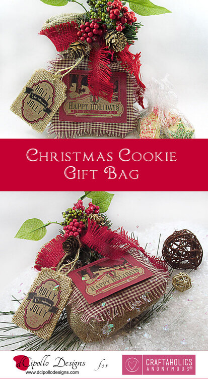 Christmas Cookie Gift Bag