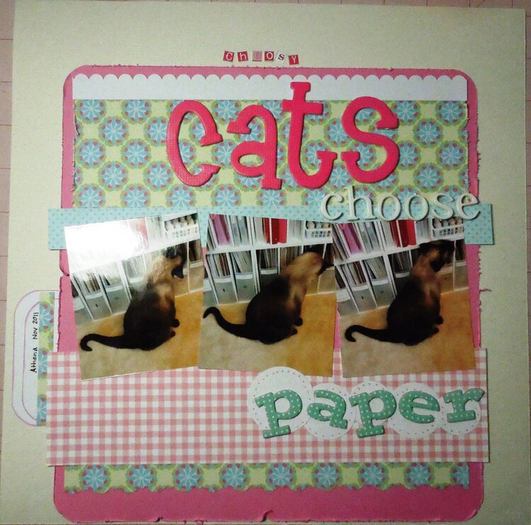 Choosy cats choose paper