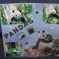 Pandas