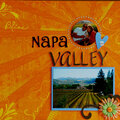Napa Valley 08'