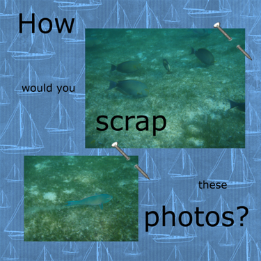 How would you scrap these photos