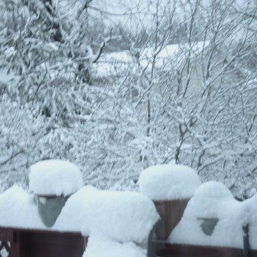 More Snow!