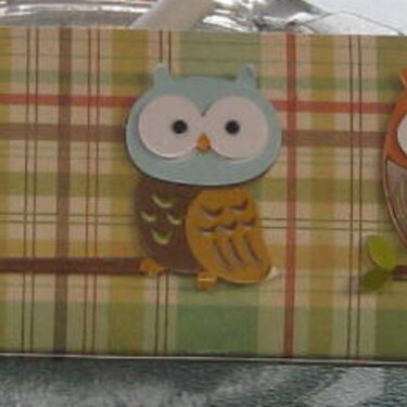 Owl Pencil case