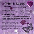What is Lupus