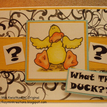 What the Duck?!