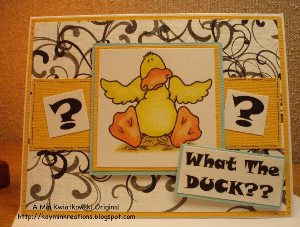 What the Duck?!