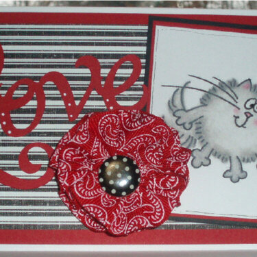 Love Anniversary Card