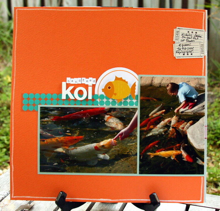 hand-feed Koi