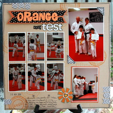Orange Belt Test