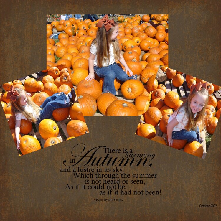 Pumpkin Patch