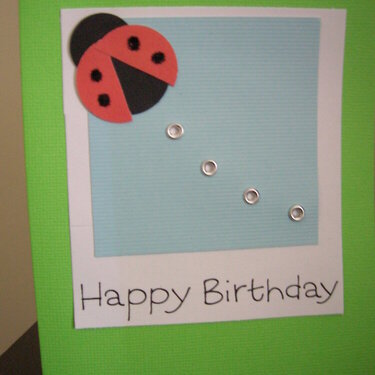 Ladybug birthday