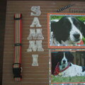 Sammi - Faithful Friend