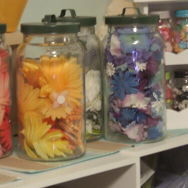 my new flower jars