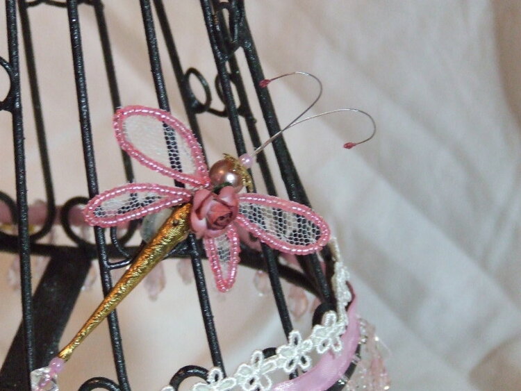 close-up of dragonfly for dress form