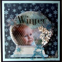 winter in a snow globe................pic retaken