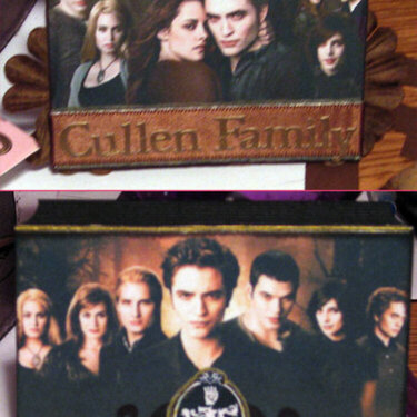New Moon Atc&#039;s - The Cullens