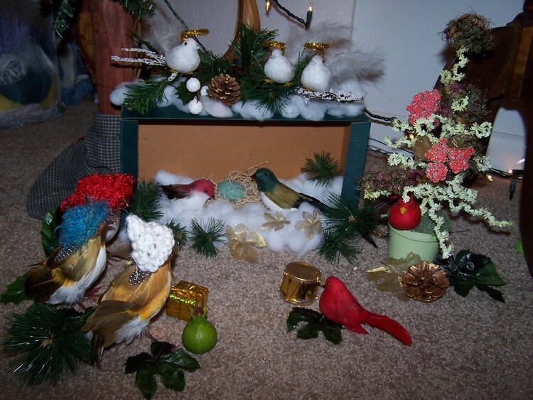 Bird Nativity