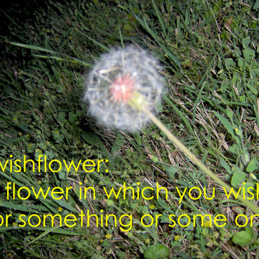 wishflower.