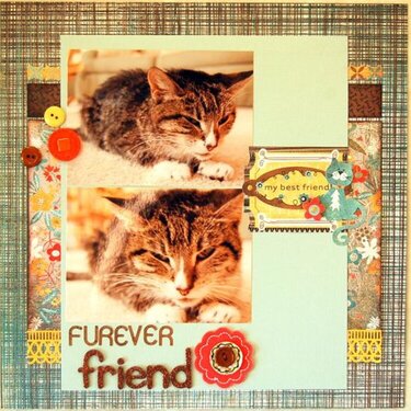 Fur-ever Friend