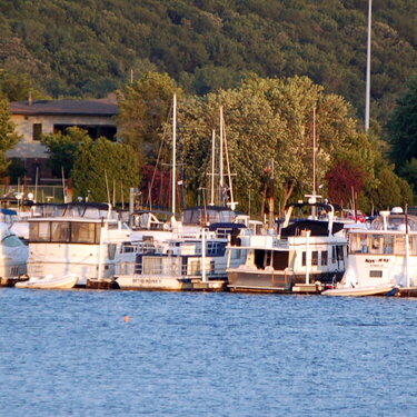 The Marina