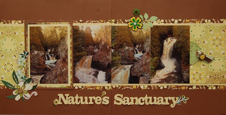 Nature&#039;s Sanctuary