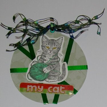 Cat tag