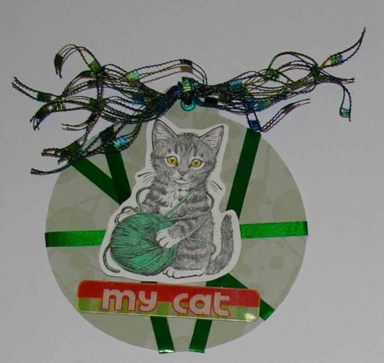 Cat tag