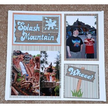 Disney Vacation:  Magic Kingdom Splash Mountain