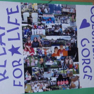 Relay For Life Display