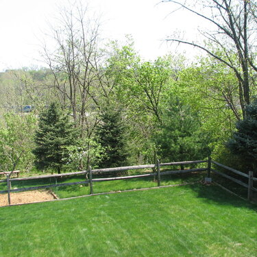 Part of the backyard