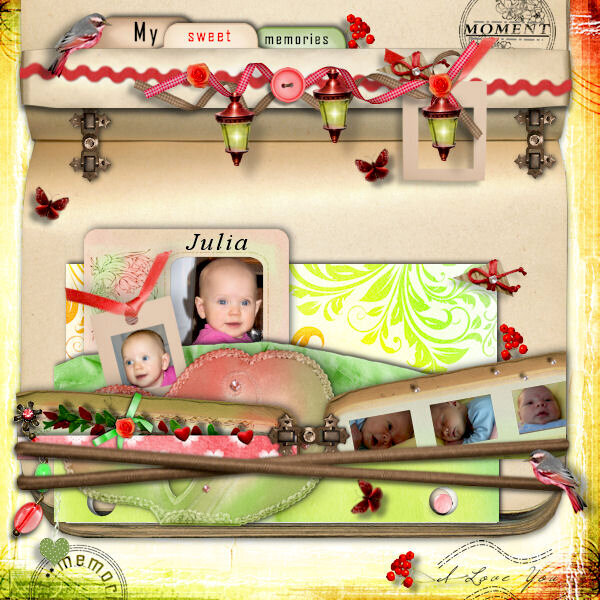 Book of Memories -Julia