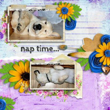 nap time...