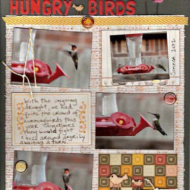 Hungry Birds