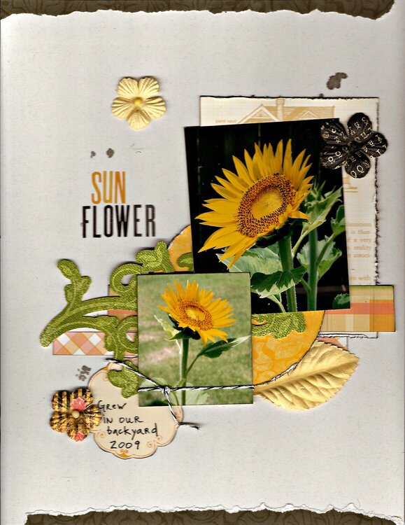 Sunflower-CS #234